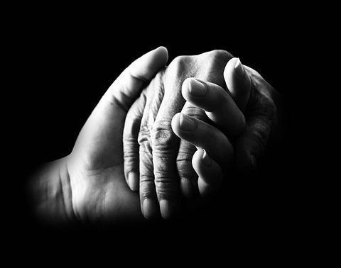 Click to View Larger