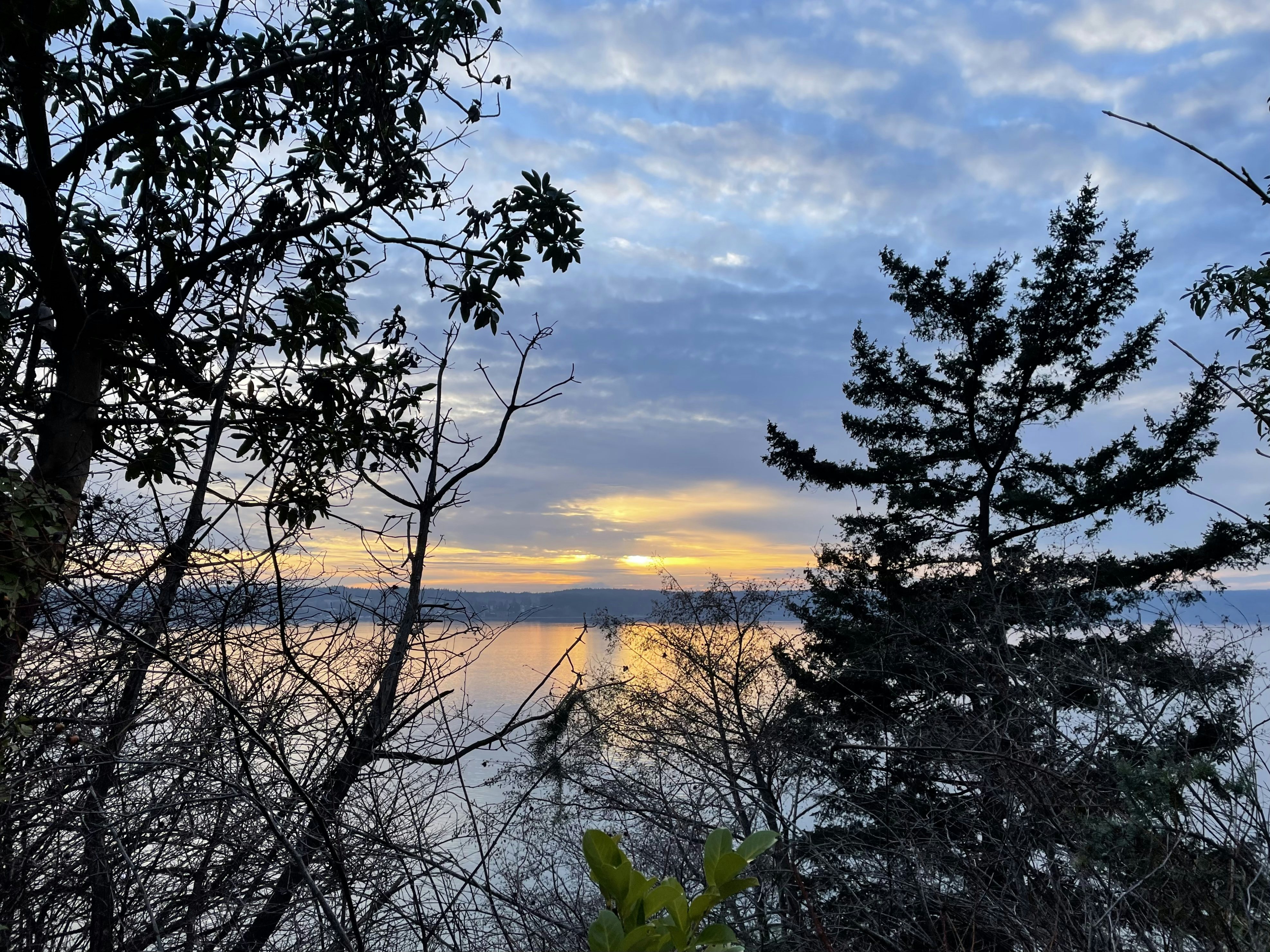 Click to View Larger