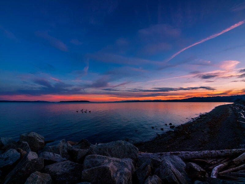 Click to View Larger