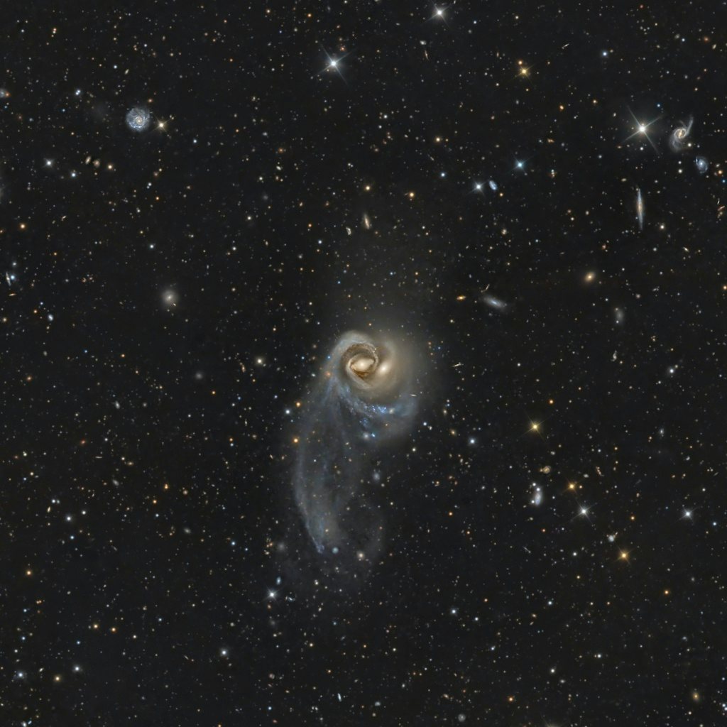 Click to View Larger