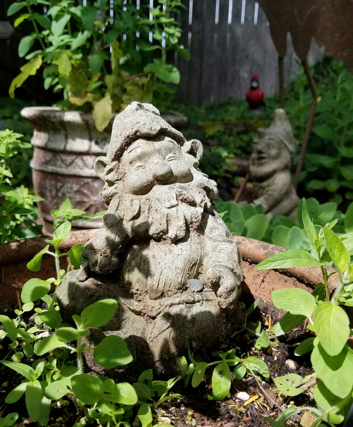 Click to View Larger