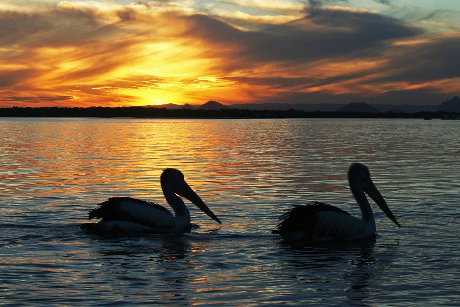 Click to View Larger