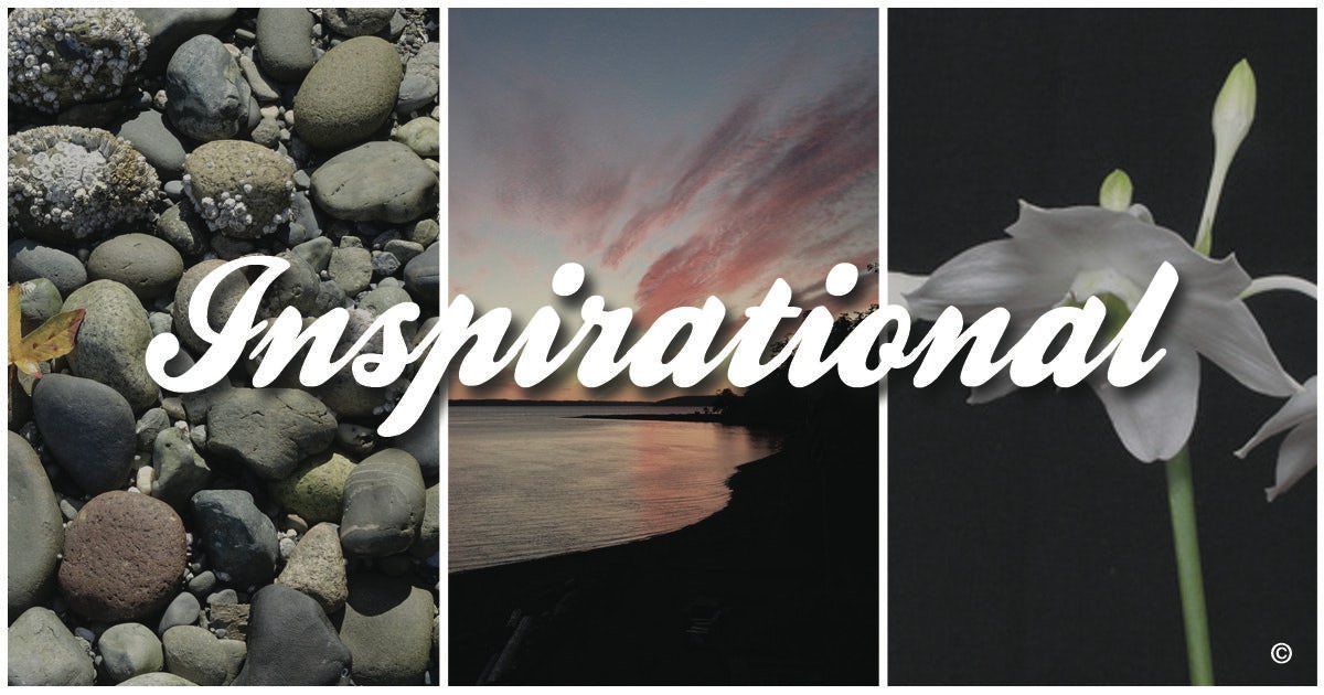 Click to View Larger