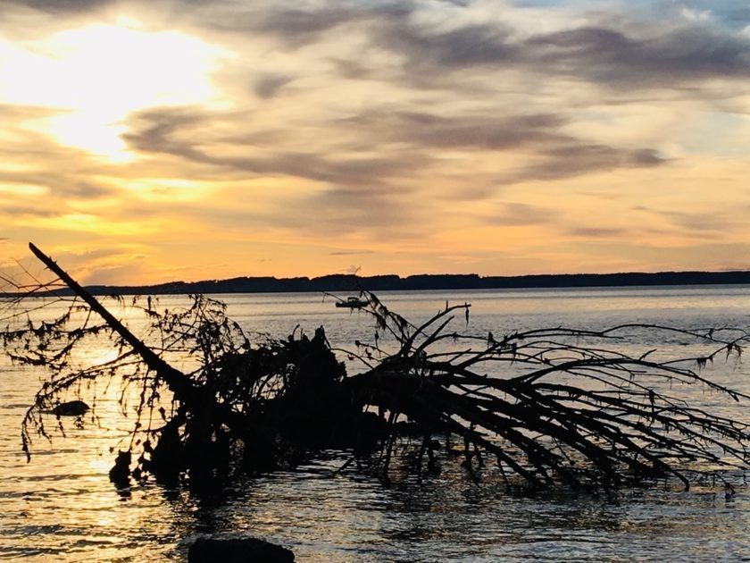 Click to View Larger