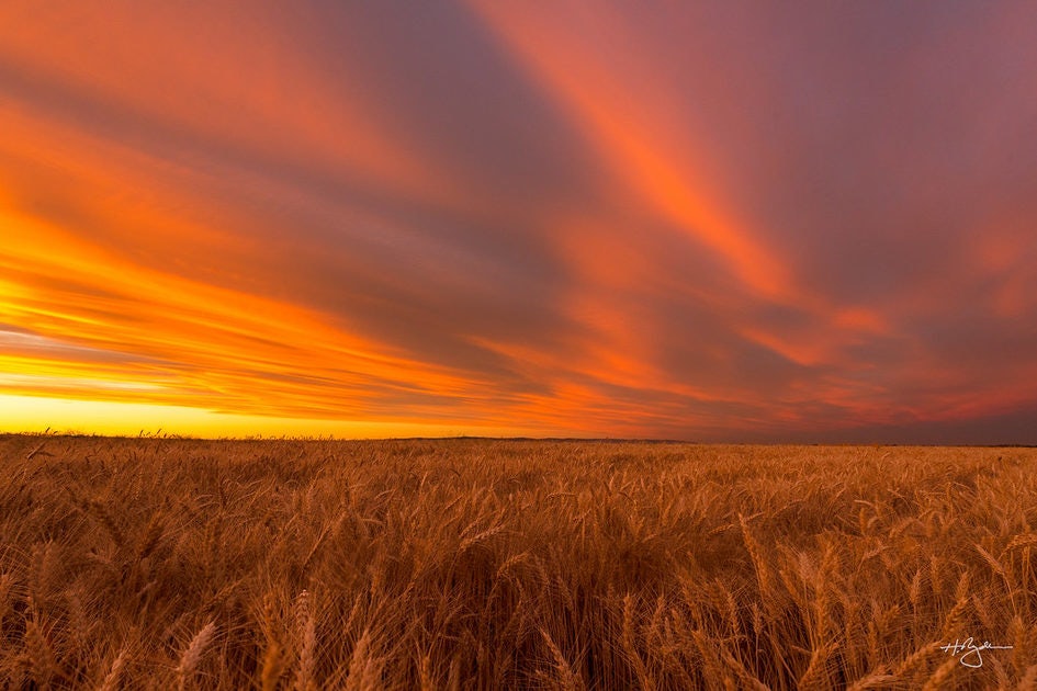 Click to View Larger