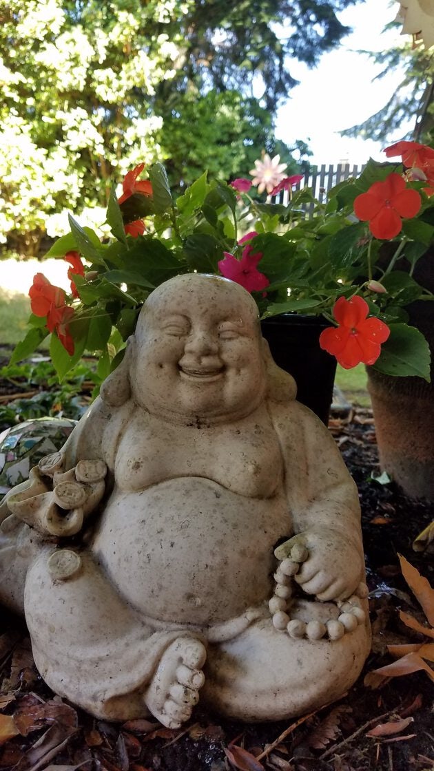 Click to View Larger