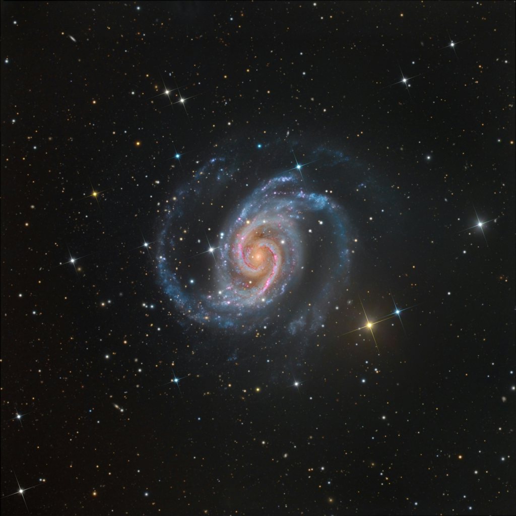 Click to View Larger