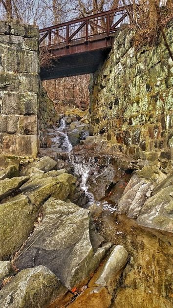 Click to View Larger