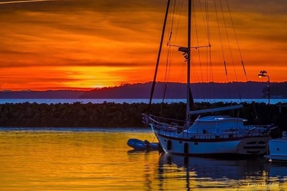 Click to View Larger