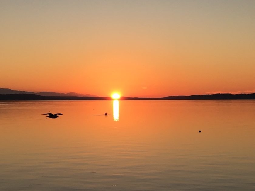 Click to View Larger