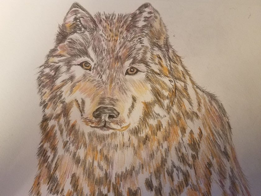 Click to View Larger