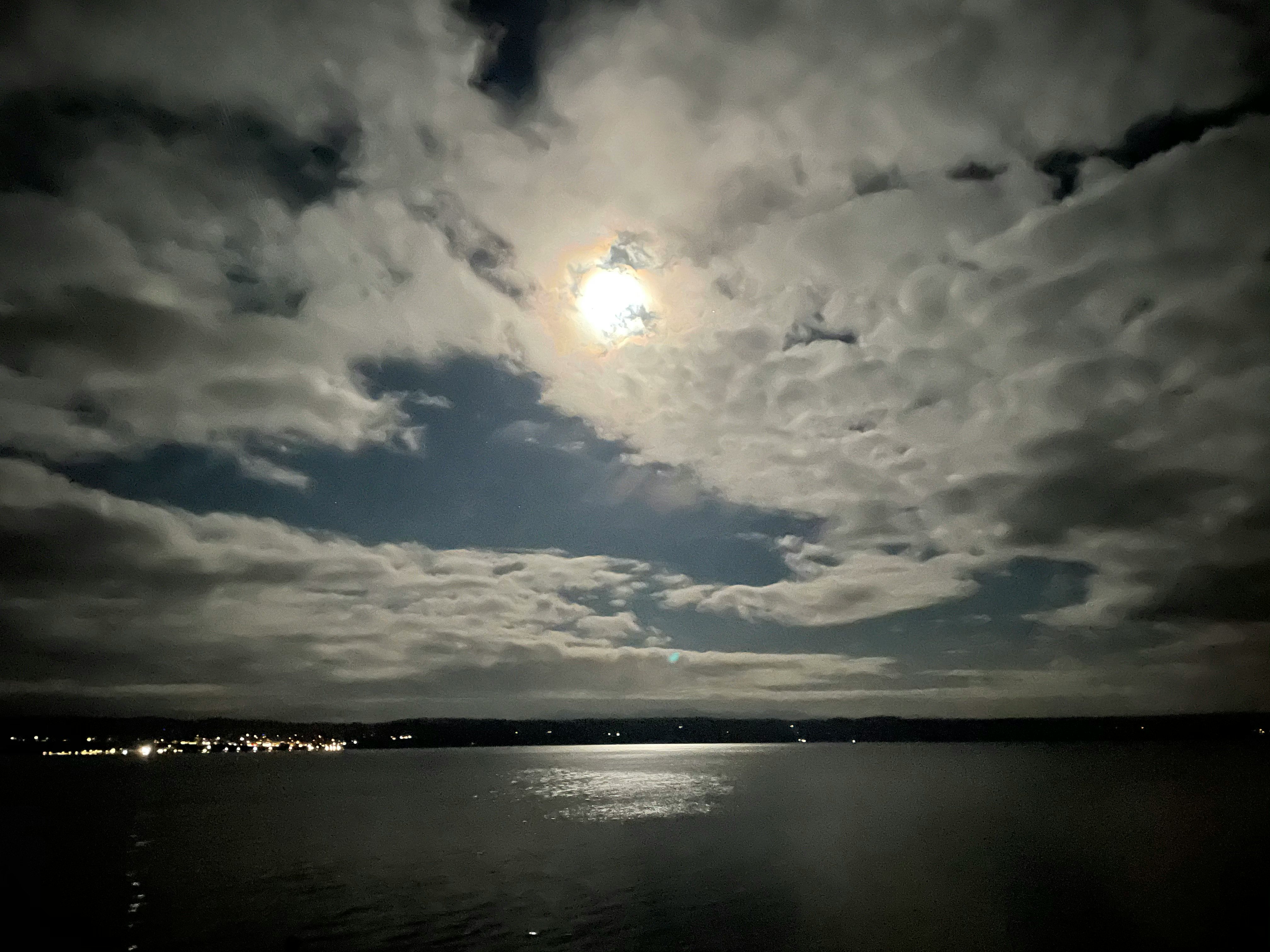 Click to View Larger