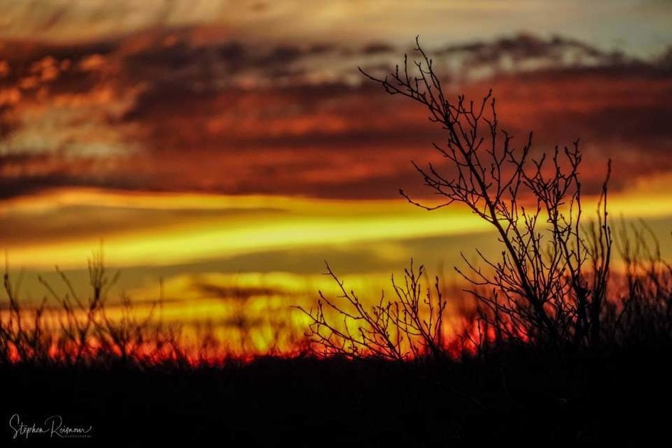 Click to View Larger