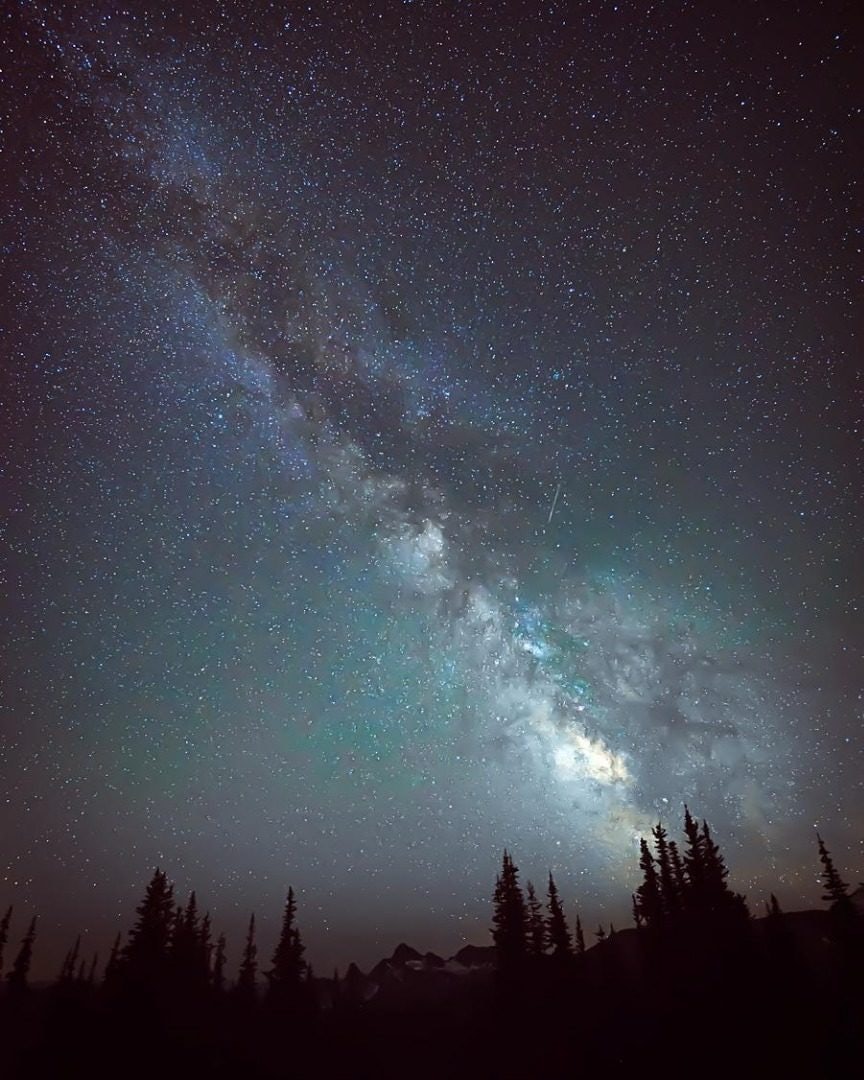 Click to View Larger