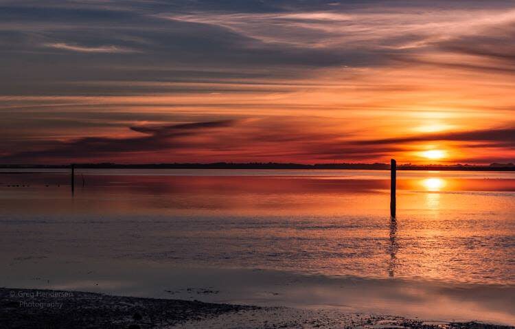 Click to View Larger