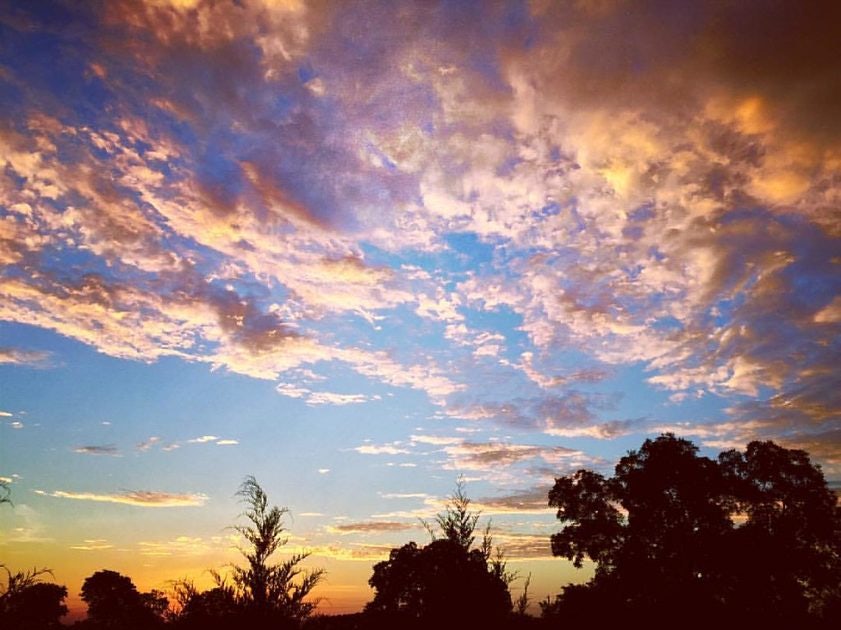 Click to View Larger