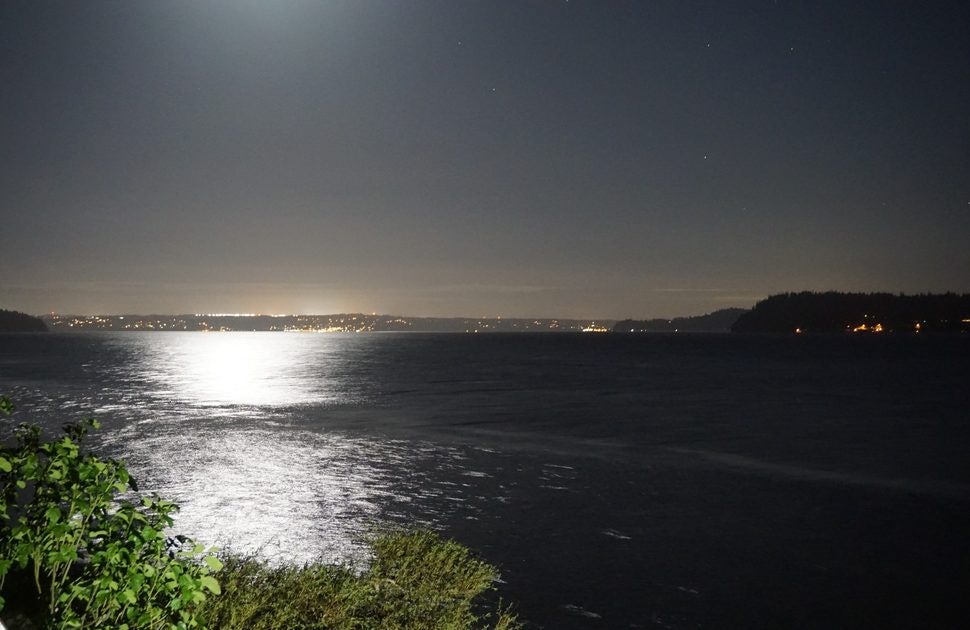 Click to View Larger