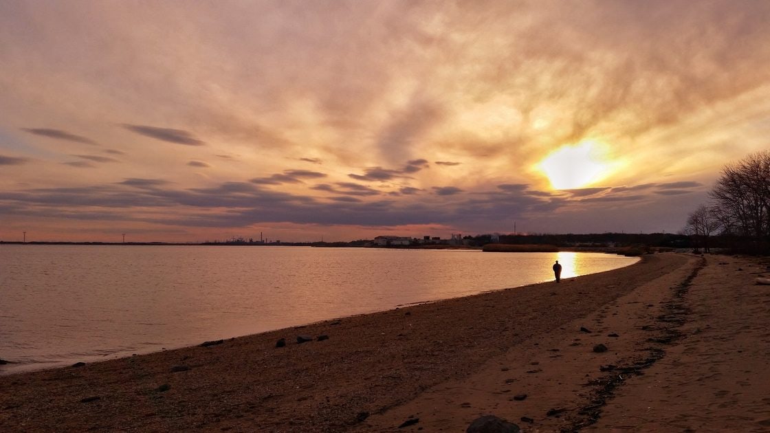 Click to View Larger