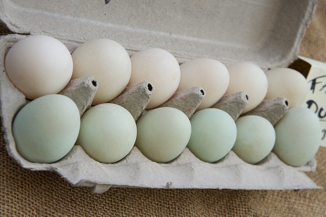 Click to View Larger