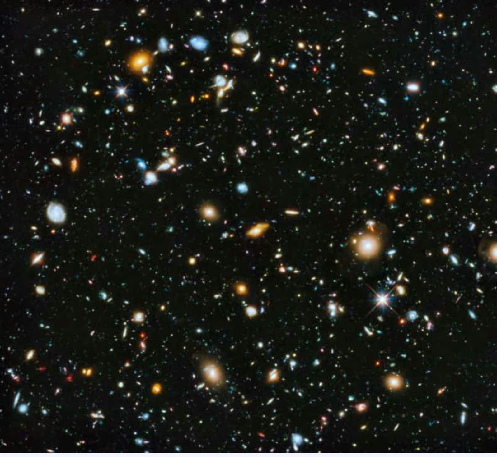 Click to View Larger