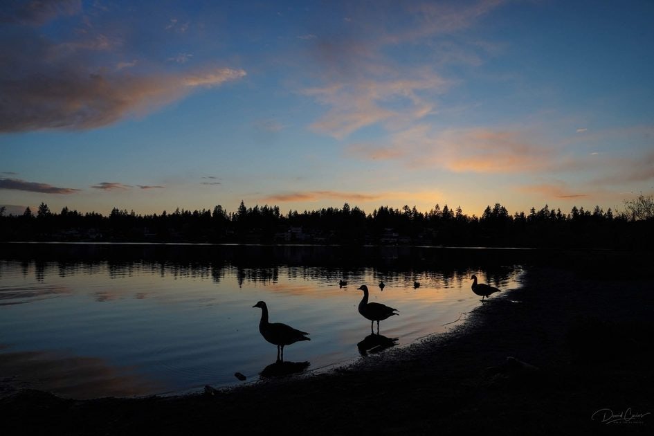 Click to View Larger