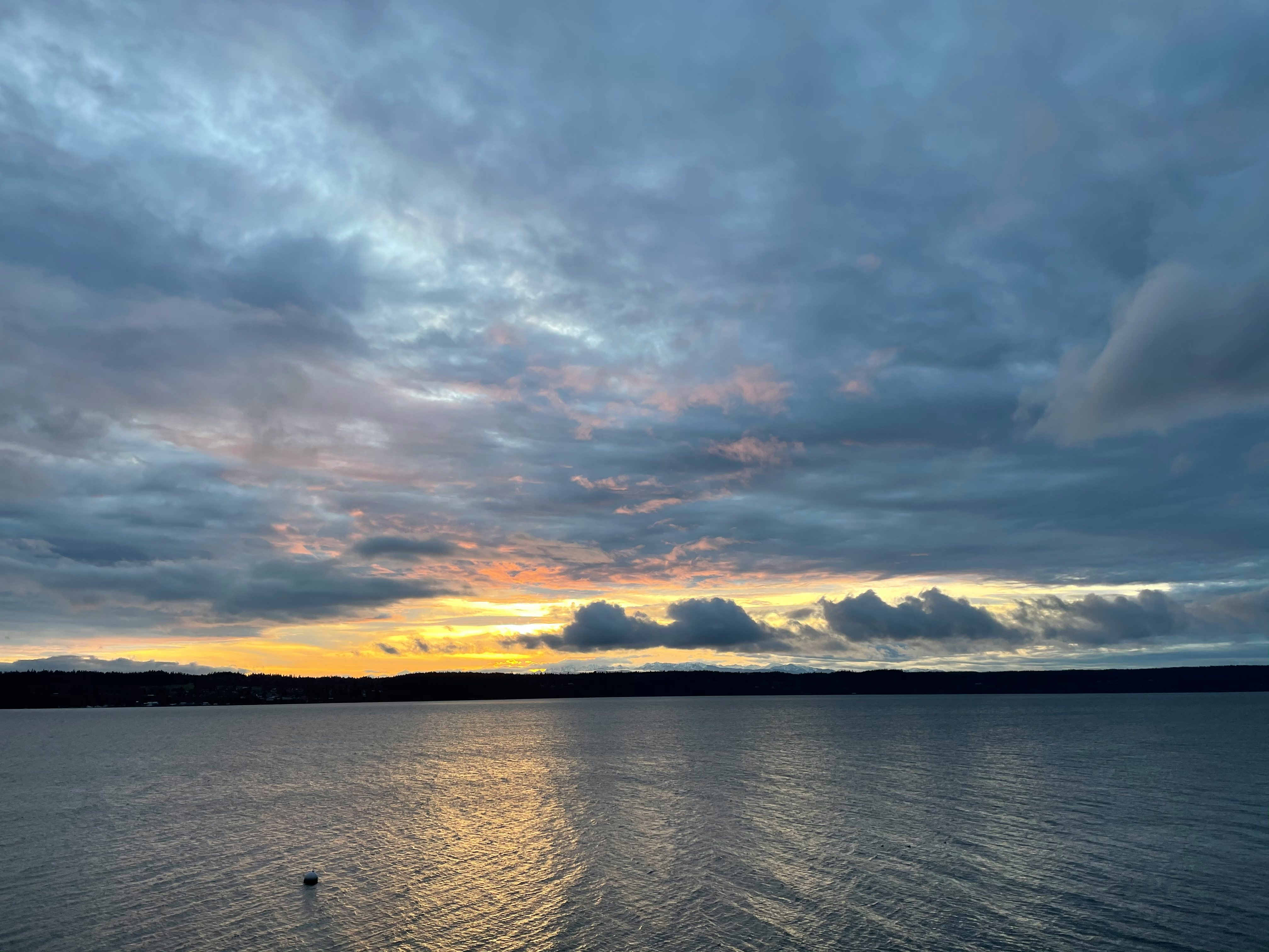 Click to View Larger