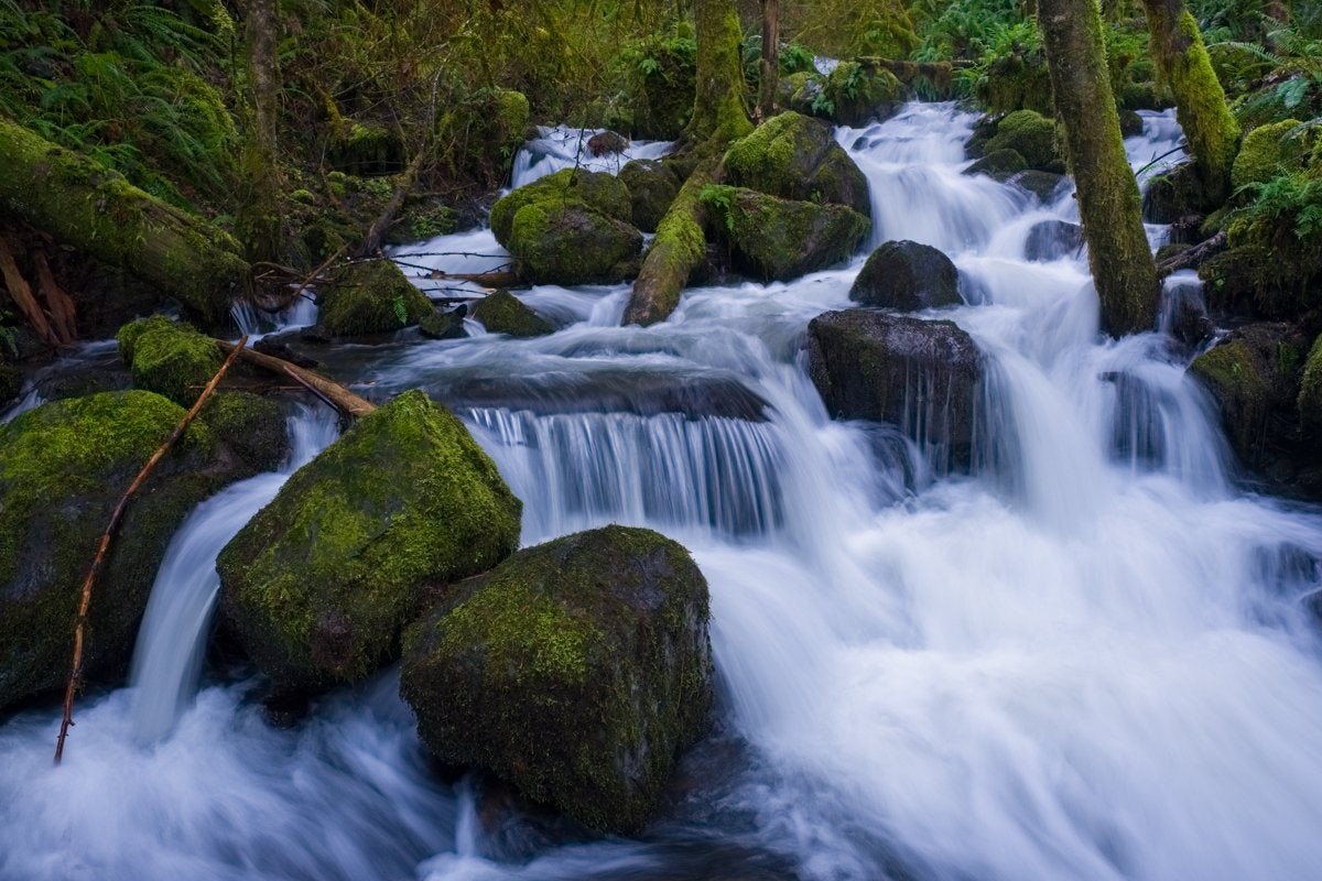 Click to View Larger