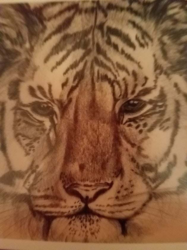 Click to View Larger