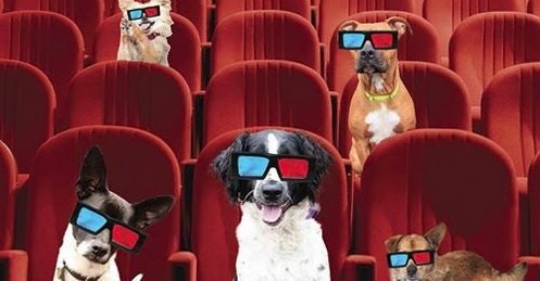 Click to View Larger