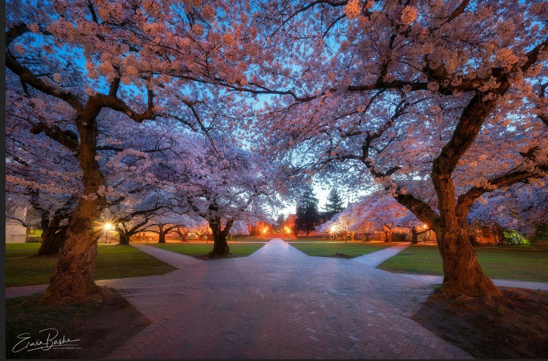 Click to View Larger