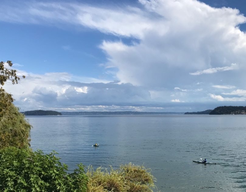 Click to View Larger