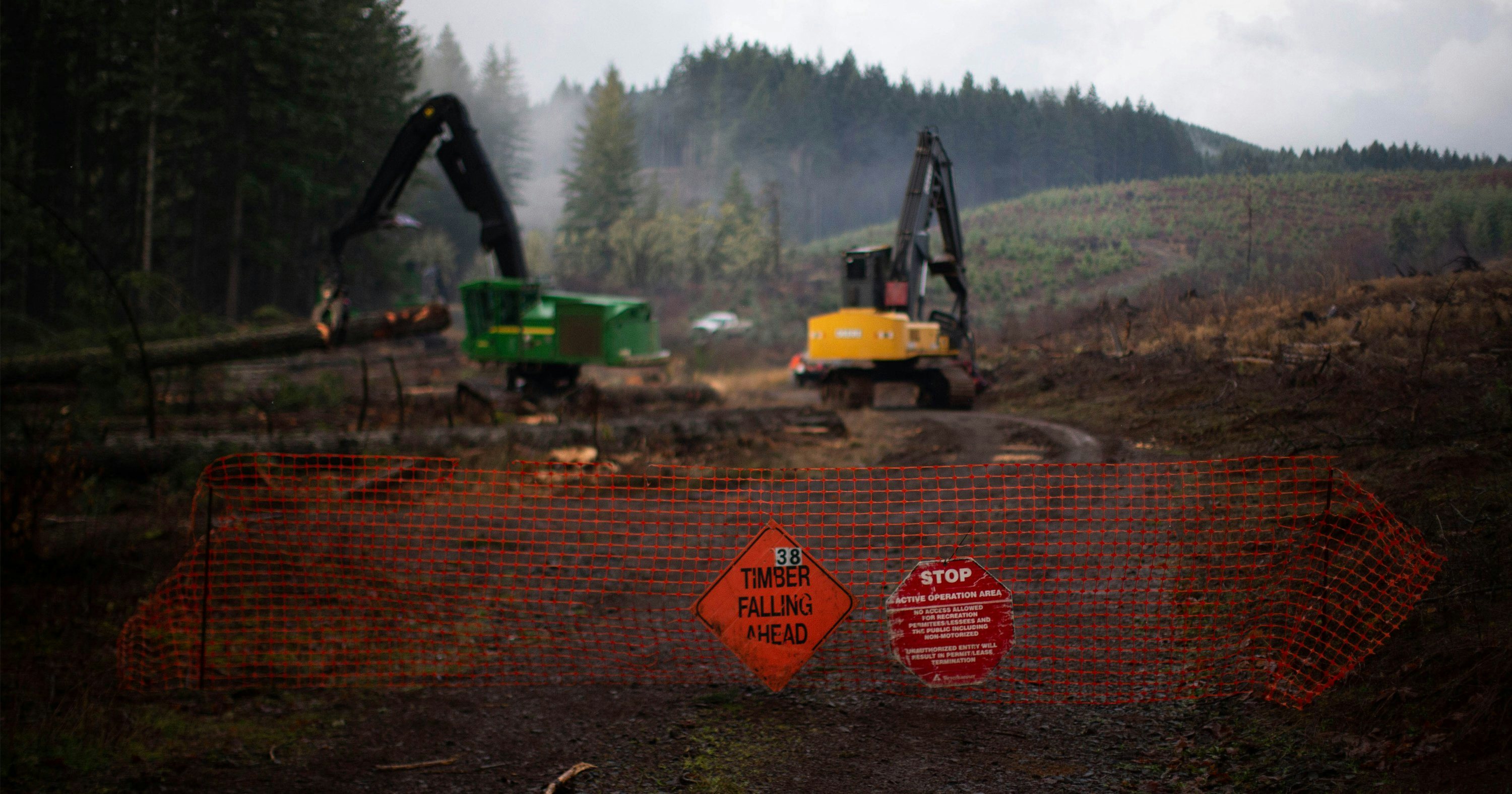 Click to View Larger