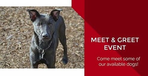 Click to View Larger