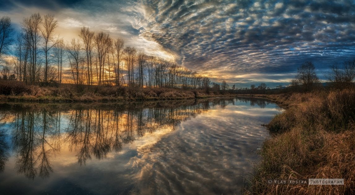 Click to View Larger