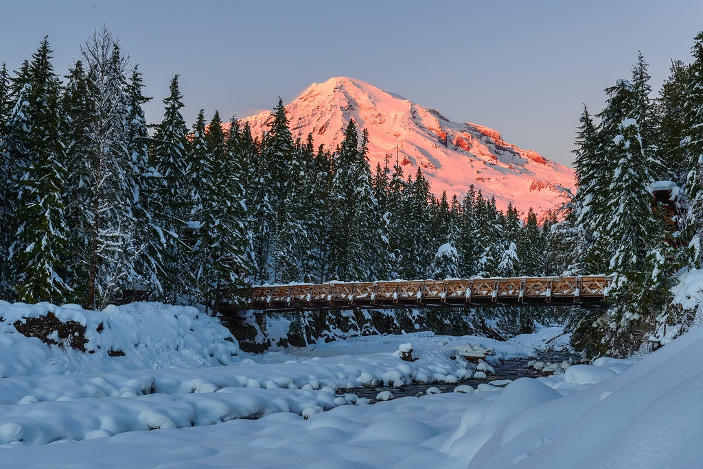 Click to View Larger