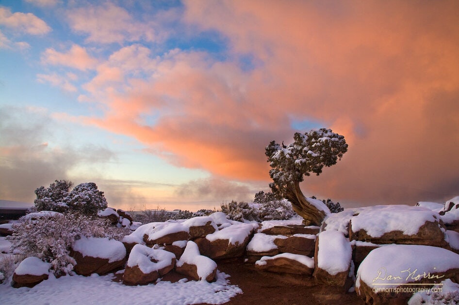 Click to View Larger