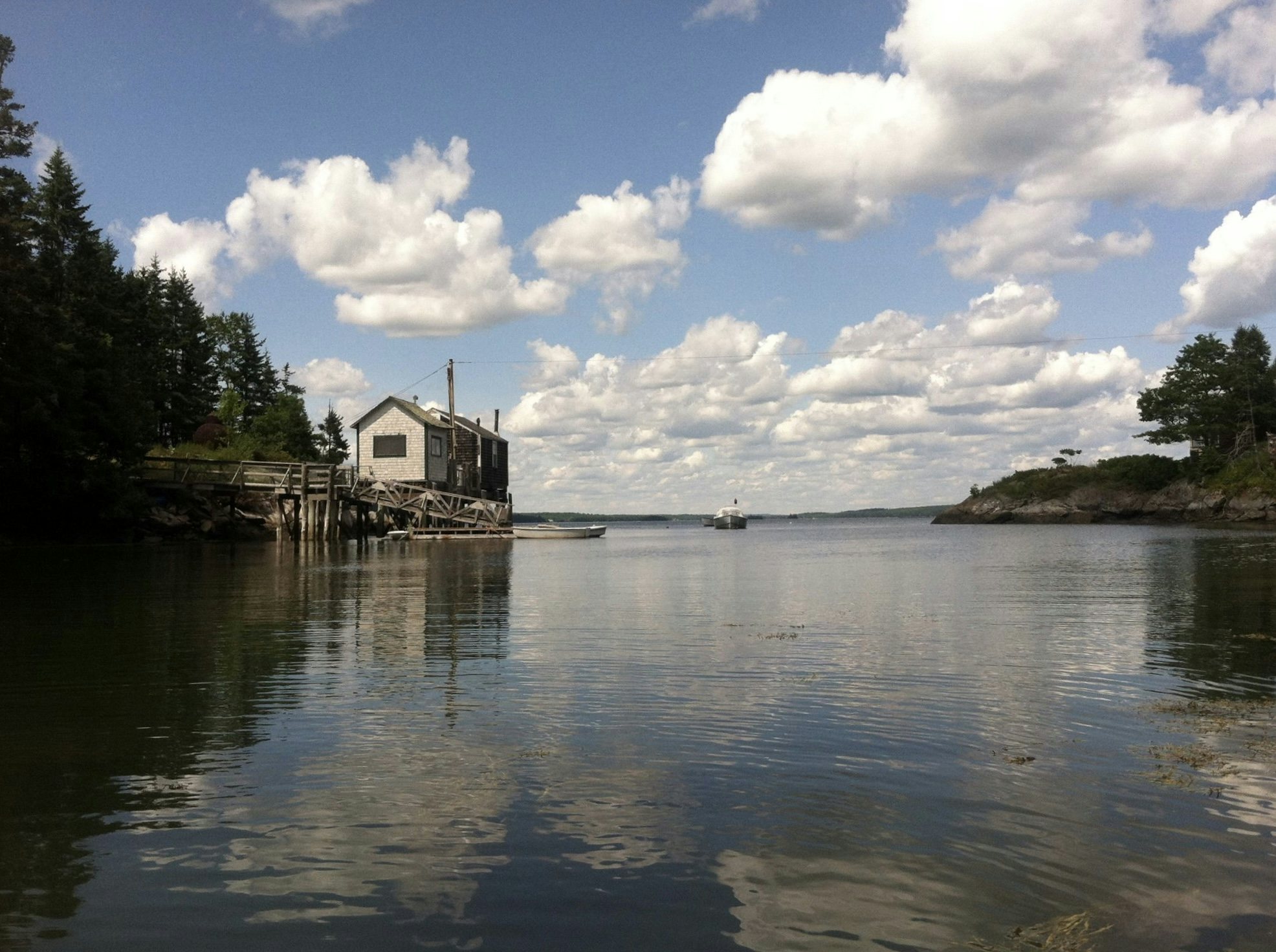 Click to View Larger