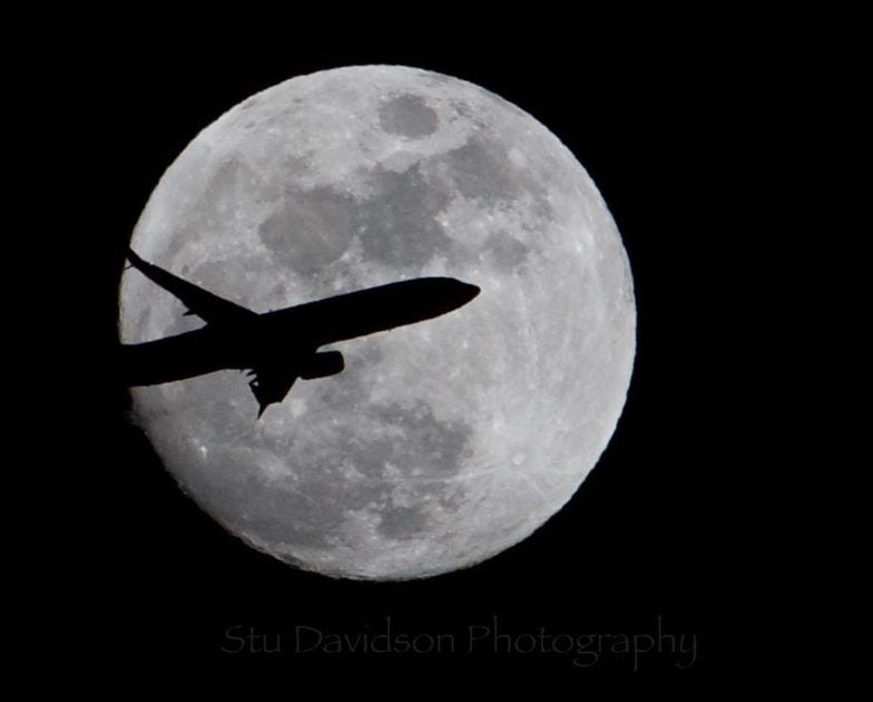 Click to View Larger