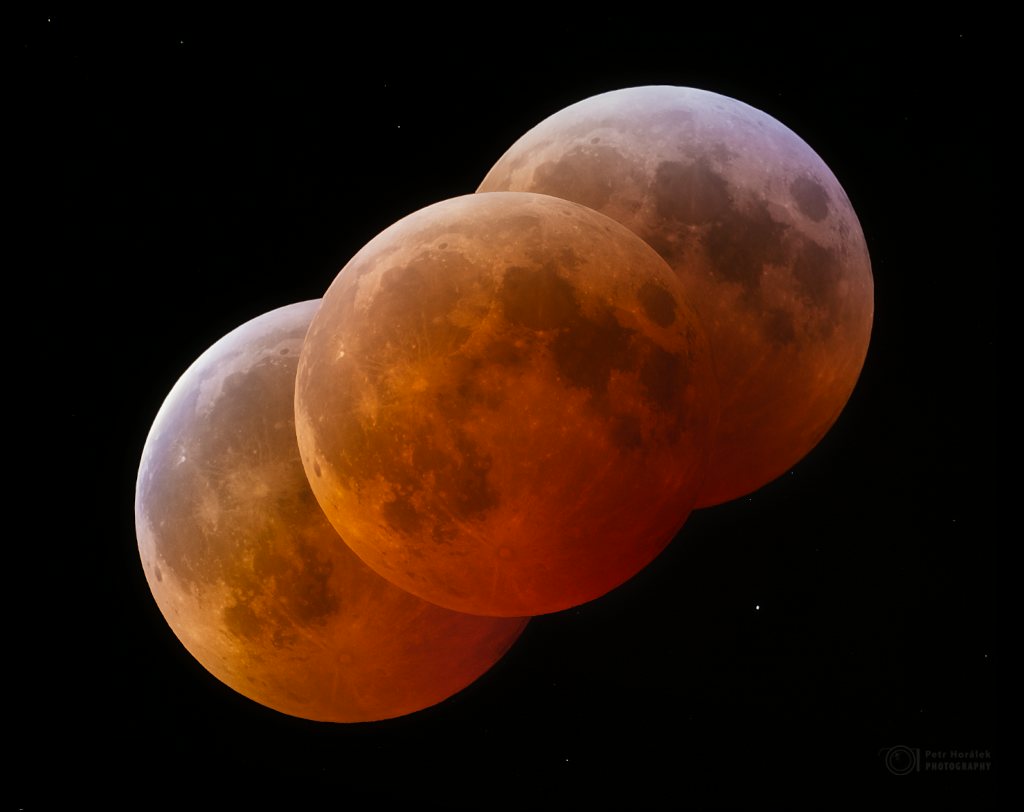 Click to View Larger