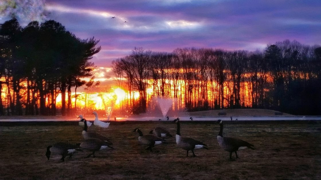 Click to View Larger