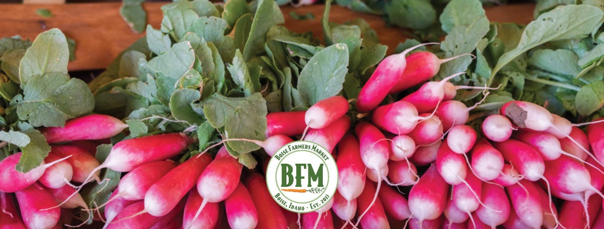 Click to View Larger