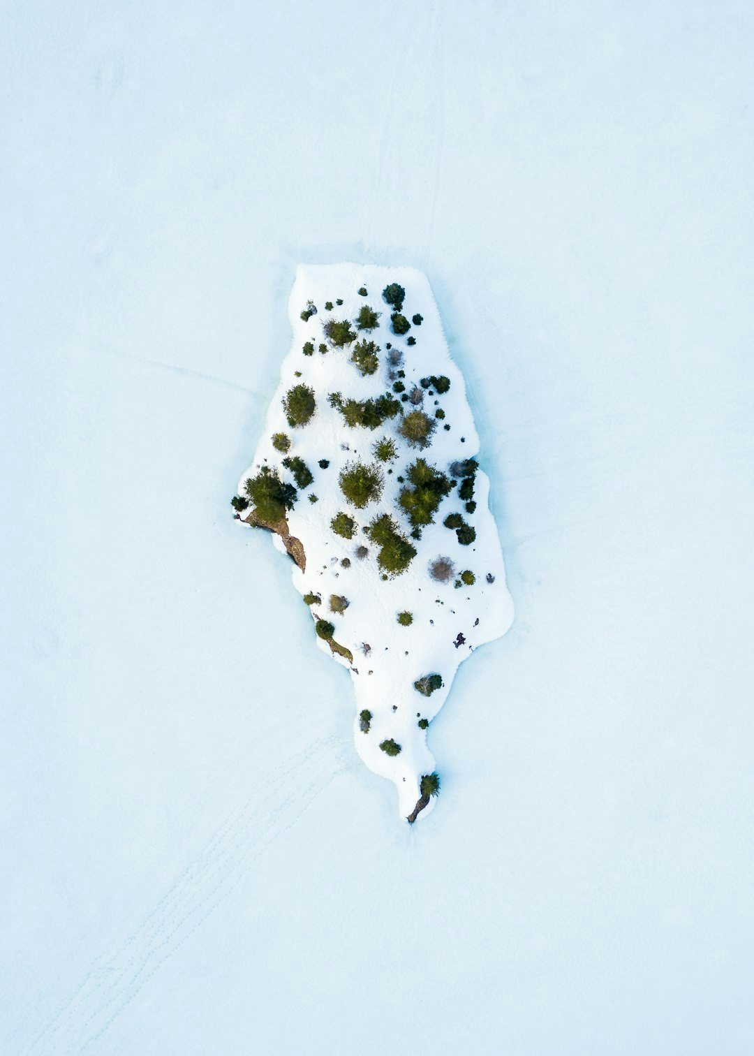 Click to View Larger