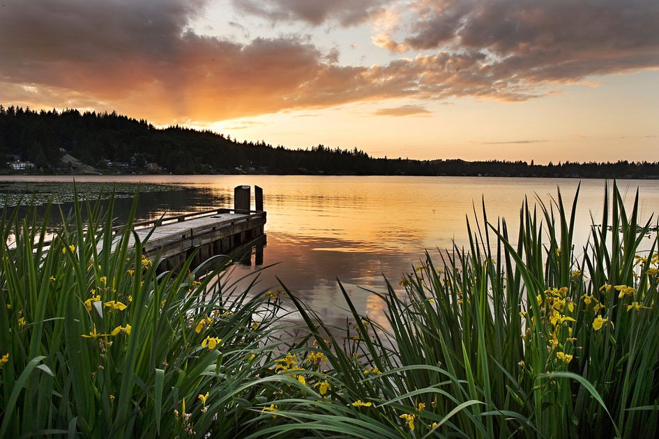 Click to View Larger