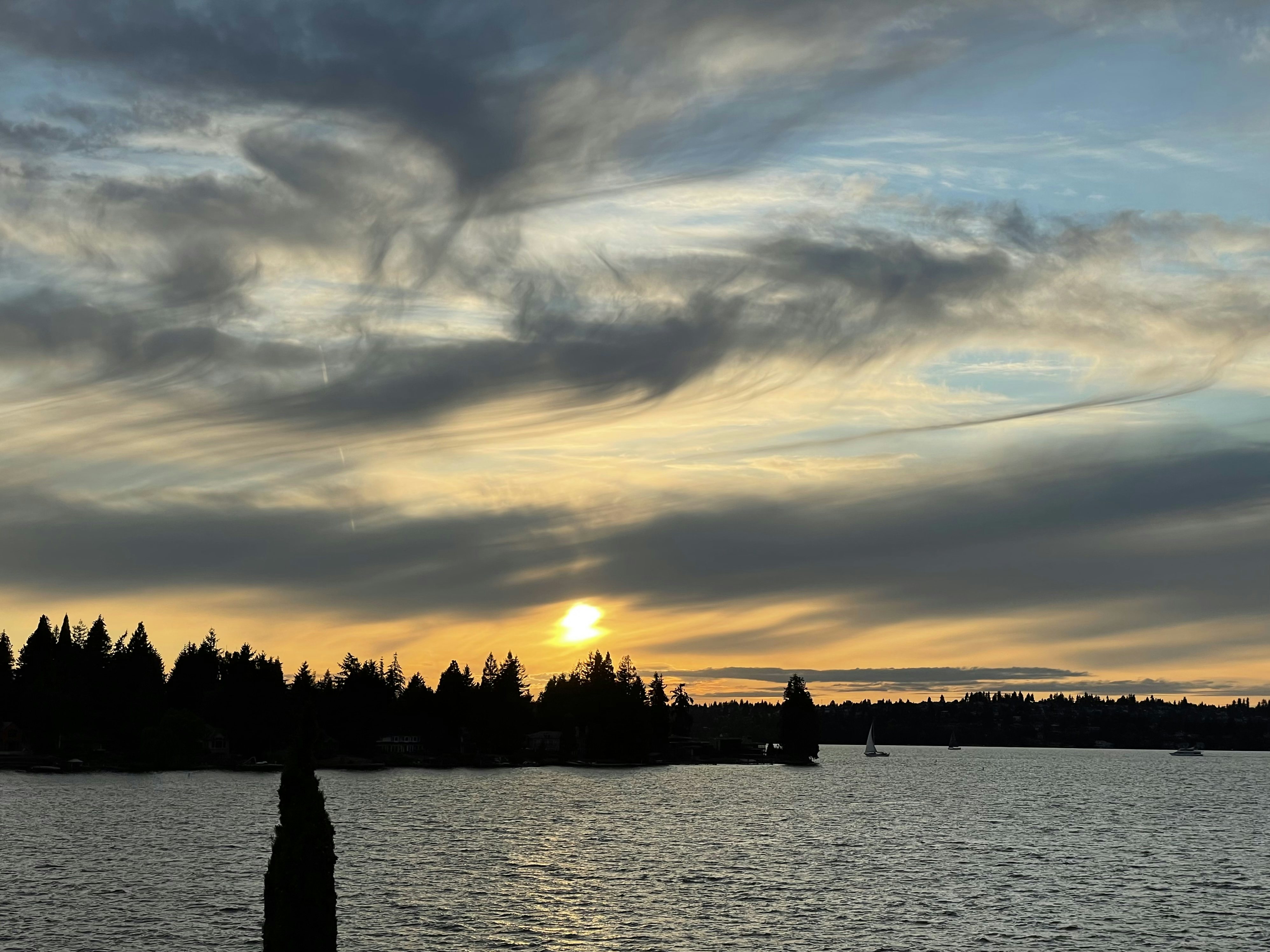 Click to View Larger