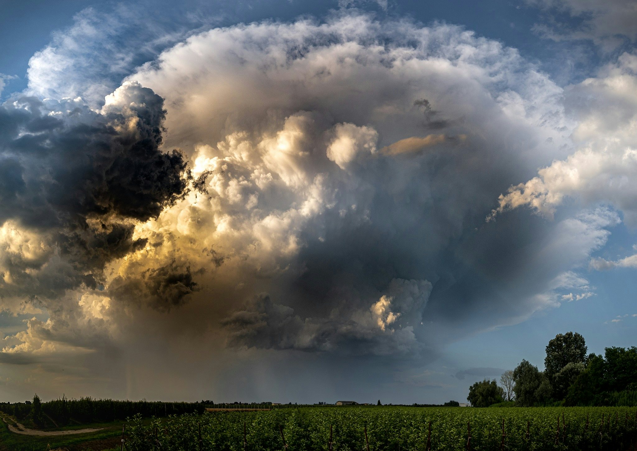 Click to View Larger