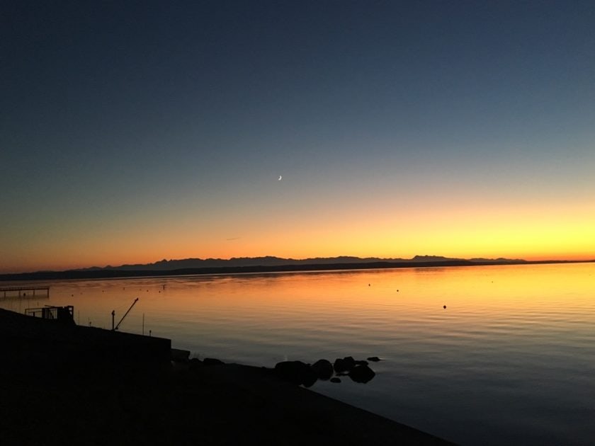 Click to View Larger