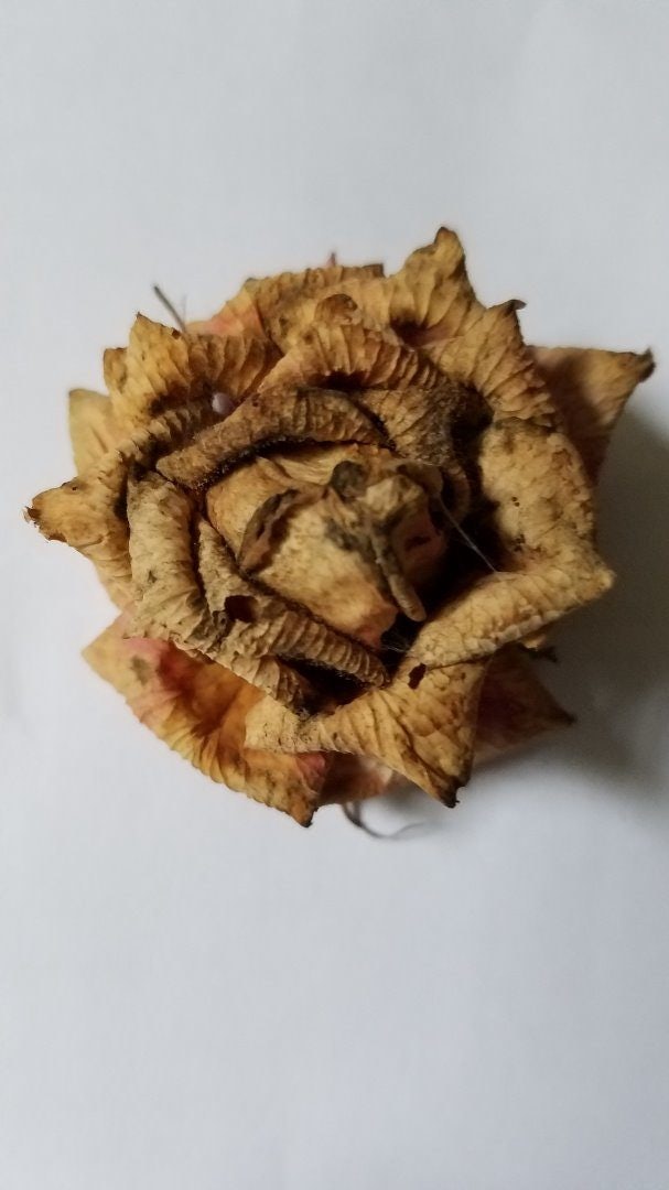 Click to View Larger