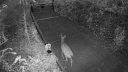 Click to View Larger