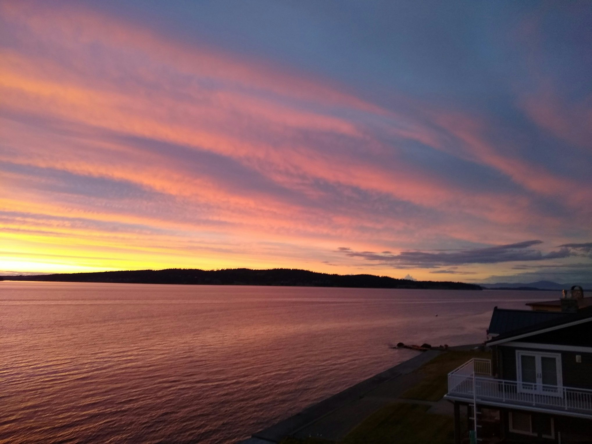 Click to View Larger