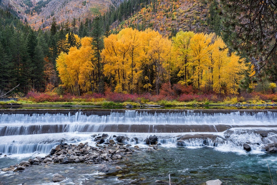 Click to View Larger